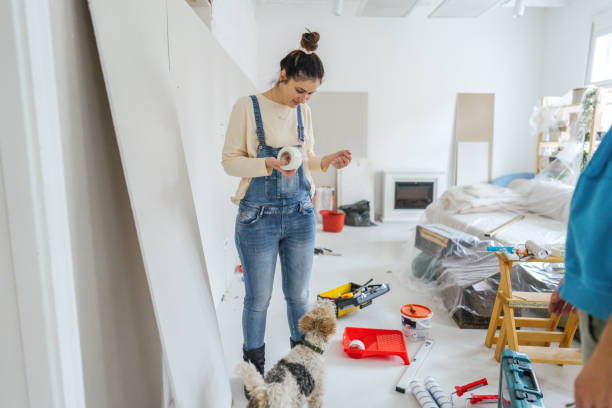 Best Drywall Patching  in Chaffee, MO